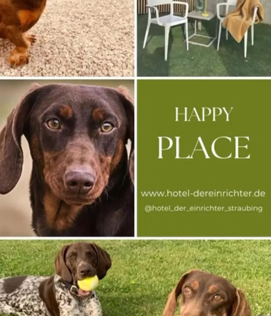 Bed & Breakfast Hotel Der Einrichter Straubing